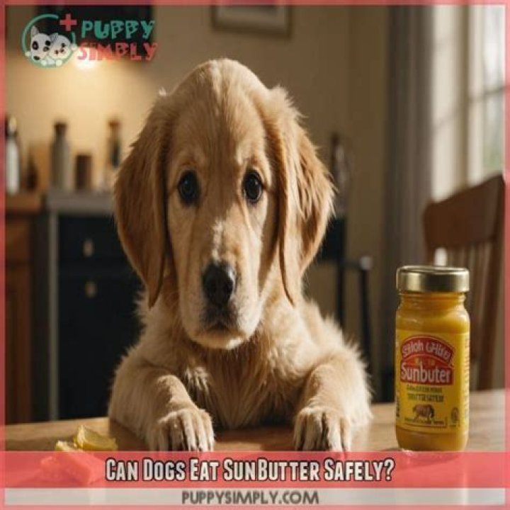 Can Dogs Eat Sunbutter