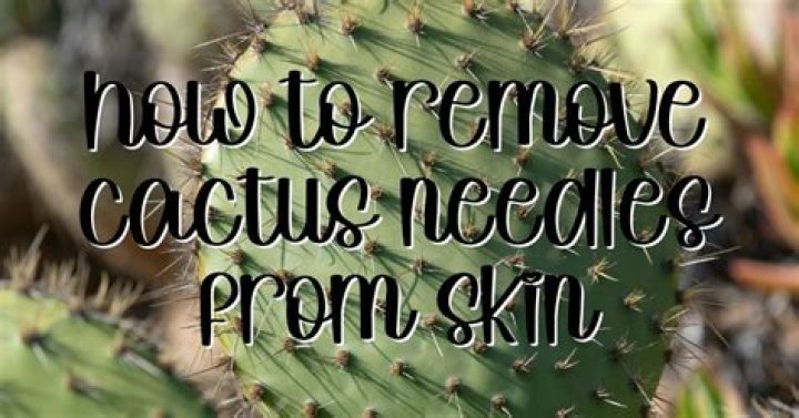 How To Get Cactus Needles Out