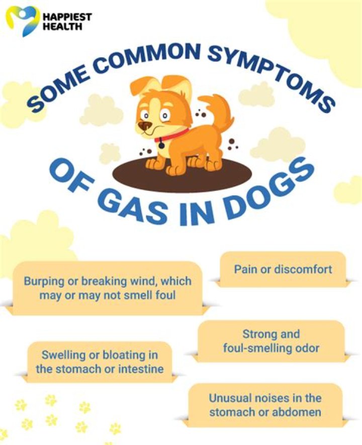 Question: Can Fish Oil Cause Gas In Dogs