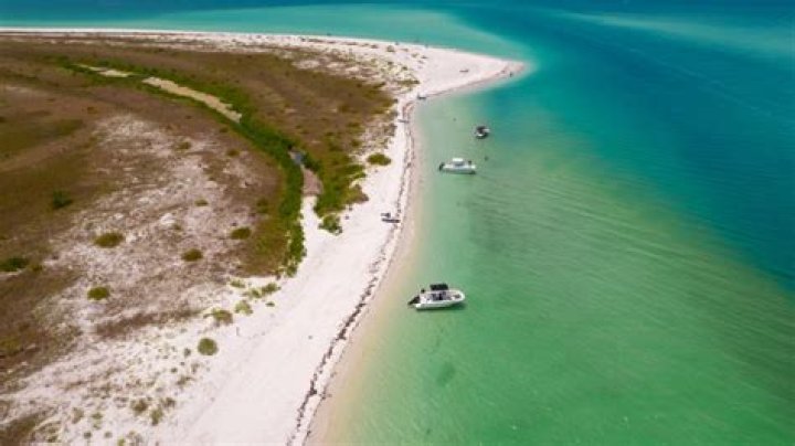 Question: How To Get To Caladesi Island State Park