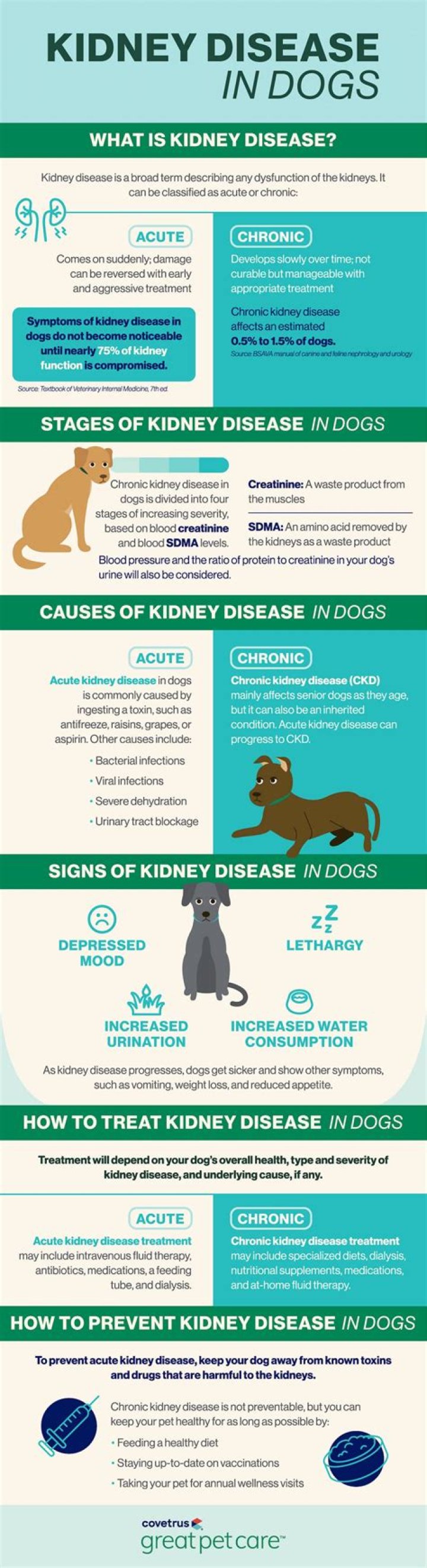Question: What Can I Feed My Dog With Kidney Problems