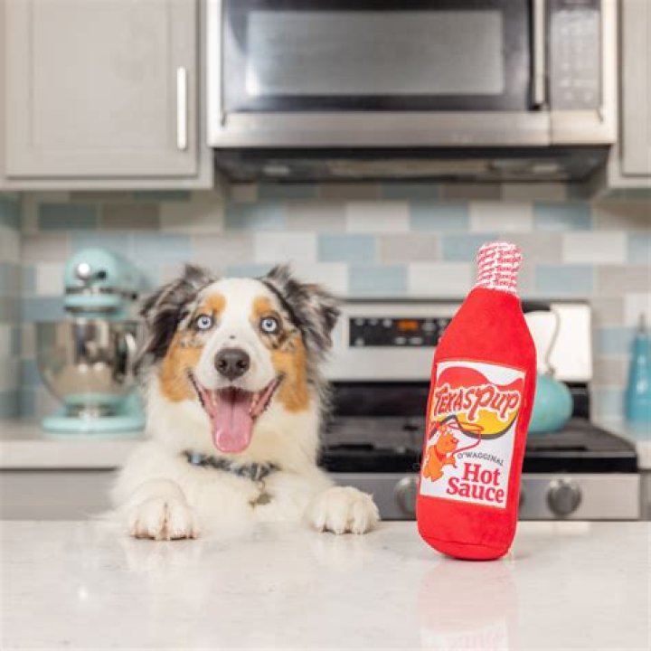 Question: What Happens If Your Dog Eats Hot Pepper