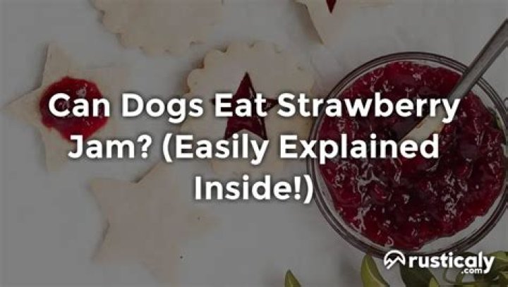 Quick Answer: Can Dogs Eat Strawberry Jam