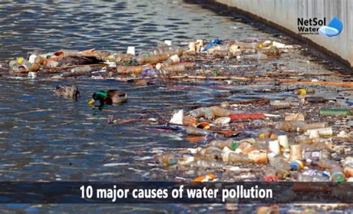 What does water pollution cause